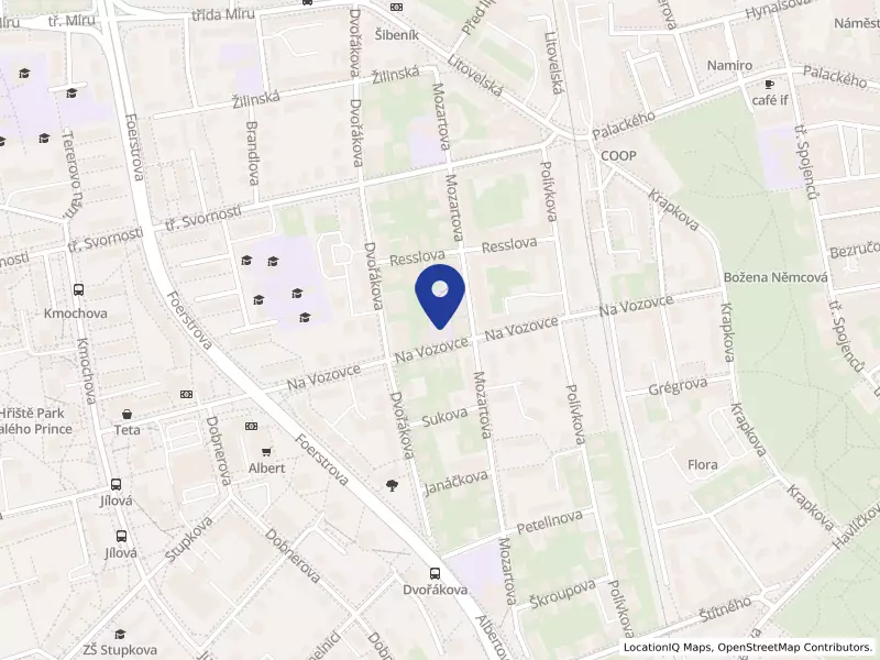 Základní umělecká škola Iši Krejčího Olomouc, Na Vozovce 32, Na Vozovce 246/32, 77900 Olomouc - Nová Ulice, IČO 47654236