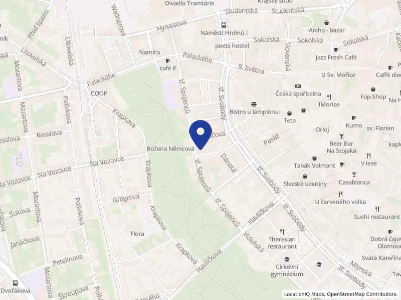 ŘECKÝ KEBAB s.r.o., Tylova 711/1, 77900 Olomouc - Olomouc, IČO 06659586