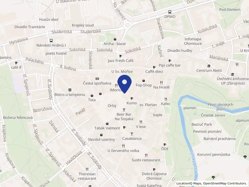 Mgr. Tereza Pučálková s.r.o., Ostružnická 323/4, 77900 Olomouc - Olomouc, IČO 06376177