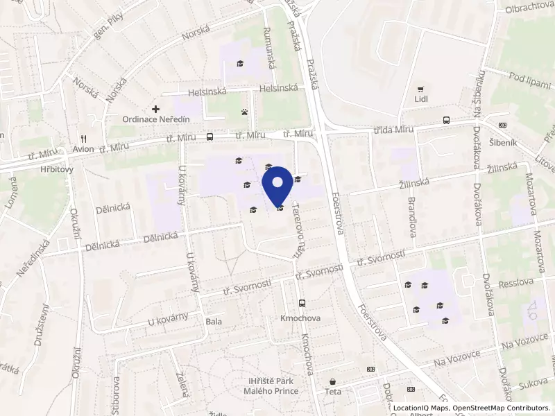 Fakultní základní škola Olomouc, Tererovo nám. 1, příspěvková organizace, Tererovo nám. 919/1, 77900 Olomouc - Nová Ulice, IČO 70234019