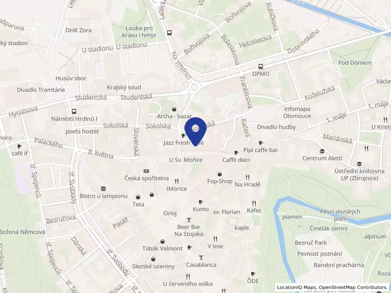 Nejste sami - mobilní hospic, z.ú., Olomouc, Pekařská 491/9, 77900 Olomouc - Olomouc, IČO 04871243