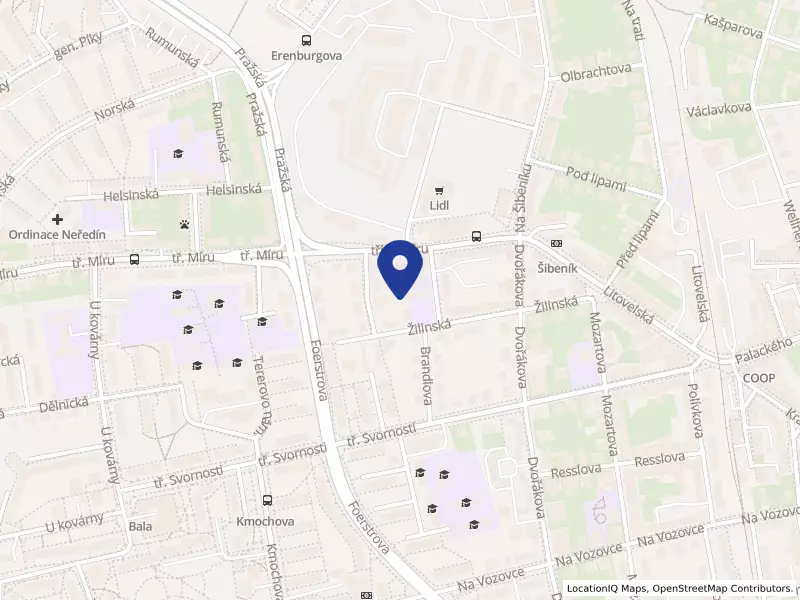 Jdeme Autistům Naproti z.s., Žilinská 198/26a, 77900 Olomouc - Nová Ulice, IČO 27041972