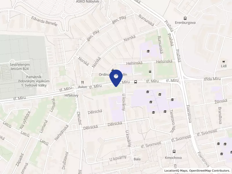 BOHEMIE Olomoucká domácí péče s.r.o., Olomouc, tř. Míru 182/65, 77900 Olomouc - Neředín, IČO 04450396