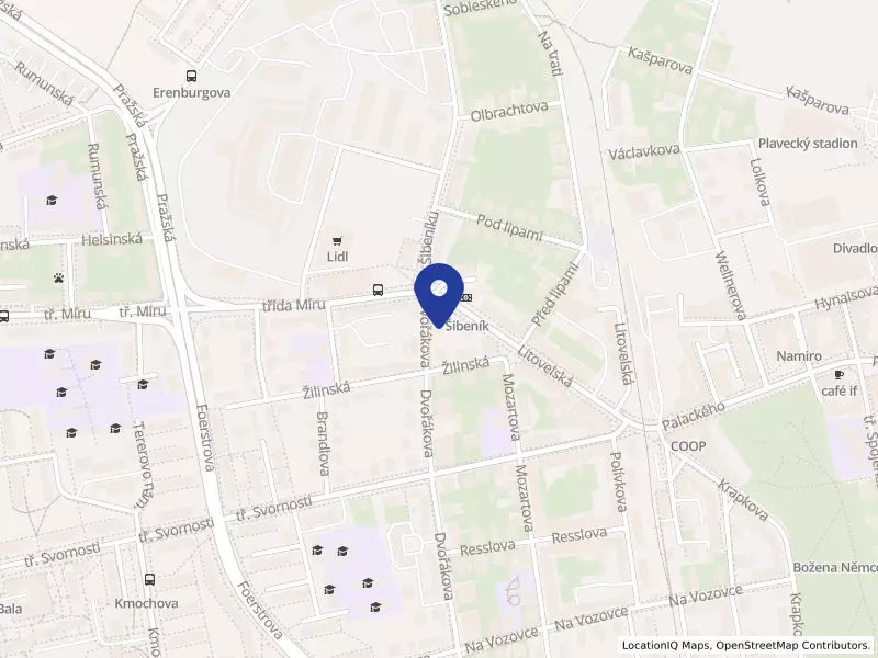 Přeprava na letiště s.r.o., Olomouc, Dvořákova 94/3, 77900 Olomouc - Nová Ulice, IČO 01932144
