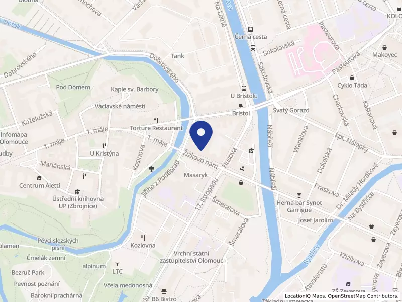 Mateřská škola Olomouc, Žižkovo nám. 3, příspěvková organizace, Žižkovo nám. 888/3, 77900 Olomouc - Olomouc, IČO 75029553