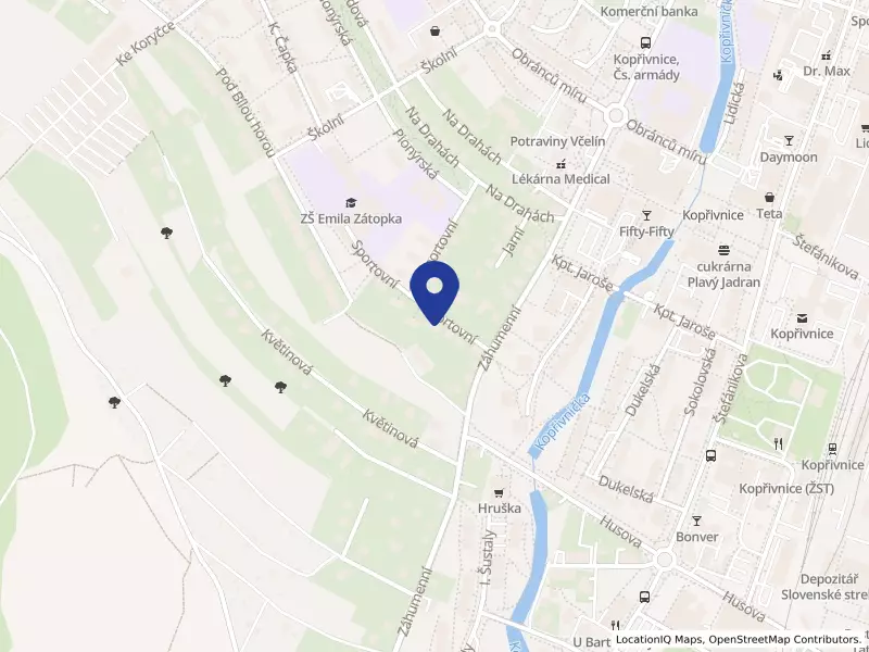 WASPizza Kopřivnice s.r.o., Kopřivnice, Sportovní 917/3, 74221 Kopřivnice - Kopřivnice, IČO 08118361
