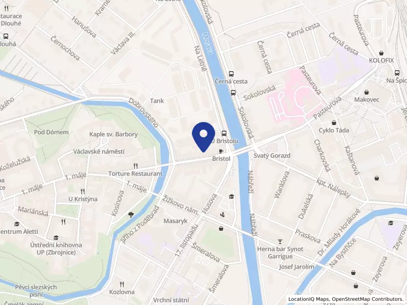 Společnost Mana, o.p.s., Komenského 921/23, 77900 Olomouc - Olomouc, IČO 26660571