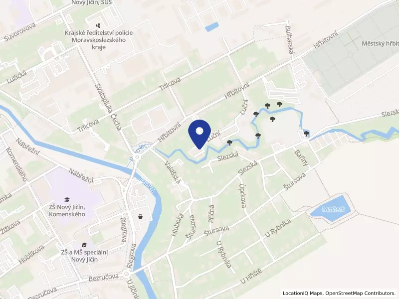 Allsax services s.r.o., Luční 911/13, 74101 Nový Jičín - Nový Jičín, IČO 05562261