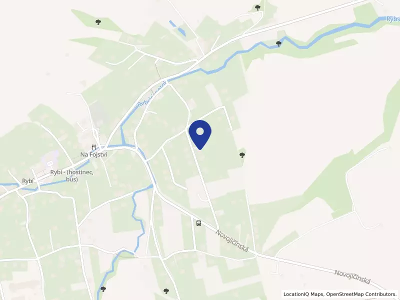 I am coach s.r.o., 231, 74265 Rybí - Rybí, IČO 04260333