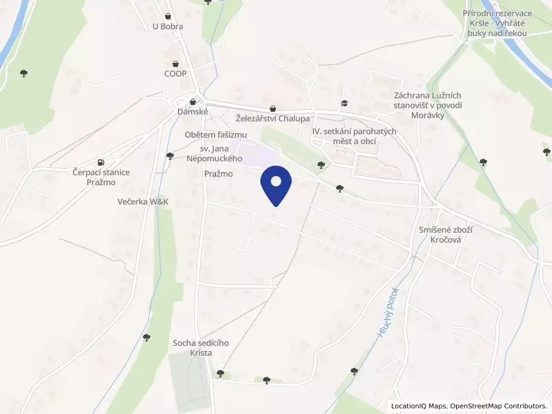 Verone synergy s.r.o., 225, 73904 Pražmo - Pražmo, IČO 14053349