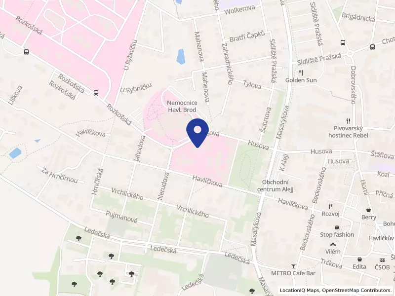 Nemocnice Havlíčkův Brod, příspěvková organizace, Husova 2624, 58001 Havlíčkův Brod - Havlíčkův Brod, IČO 00179540