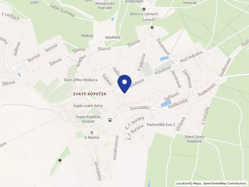 Základní škola a Mateřská škola Olomouc, Dvorského 33, příspěvková organizace, Dvorského 115/33, 77900 Olomouc - Svatý Kopeček, IČO 70631042