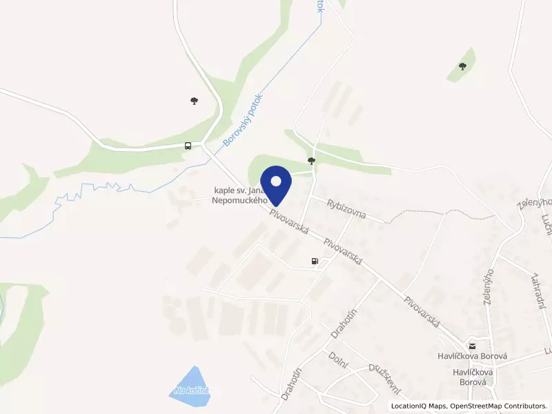 Havlíčkova Borová zemědělská a.s., Pivovarská 162, 58223 Havlíčkova Borová - Havlíčkova Borová, IČO 25252267