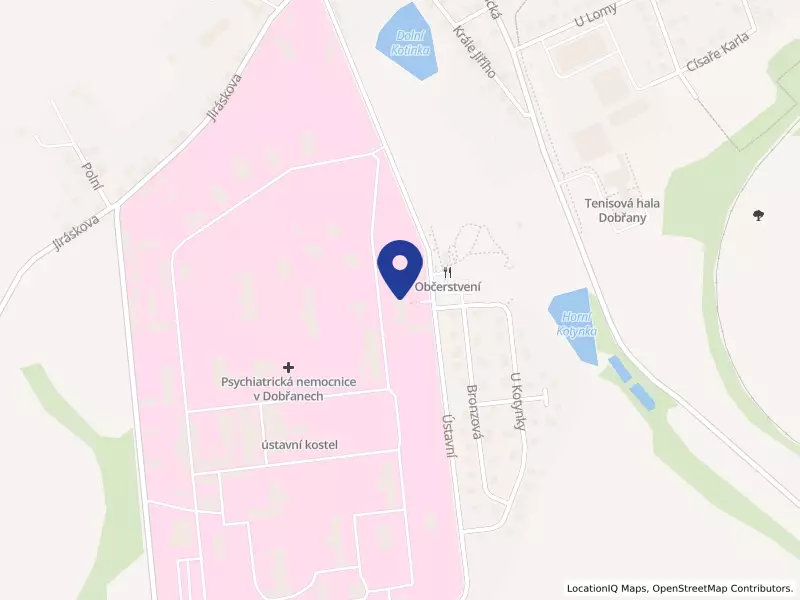 Psychiatrická nemocnice v Dobřanech, Ústavní 341, 33441 Dobřany - Dobřany, IČO 00669792