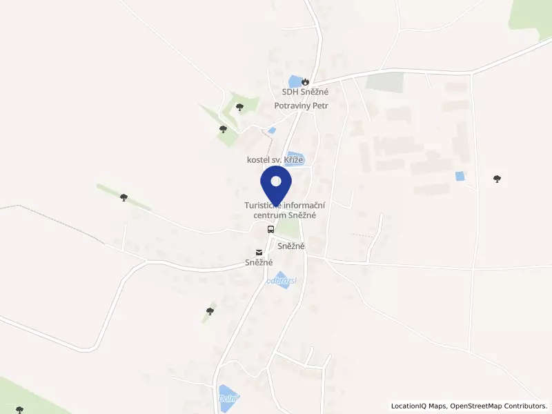 Cukrárna Sněžné s.r.o., 76, 59203 Sněžné - Sněžné, IČO 08678120