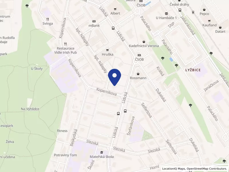 1 Witos s.r.o., Lidická 662, 73961 Třinec - Lyžbice, IČO 25372327
