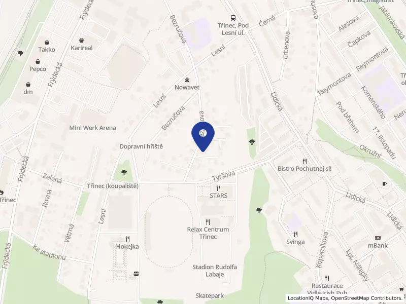 Puaree s.r.o., Bezručova 565, 73961 Třinec - Staré Město, IČO 07734921