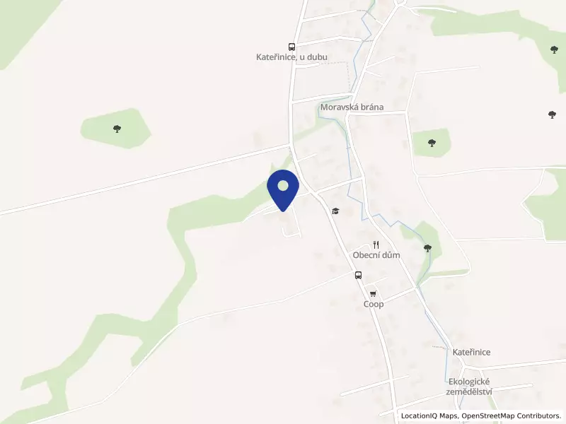 Šťastný senior s.r.o., 228, 74258 Kateřinice - Kateřinice, IČO 07458711