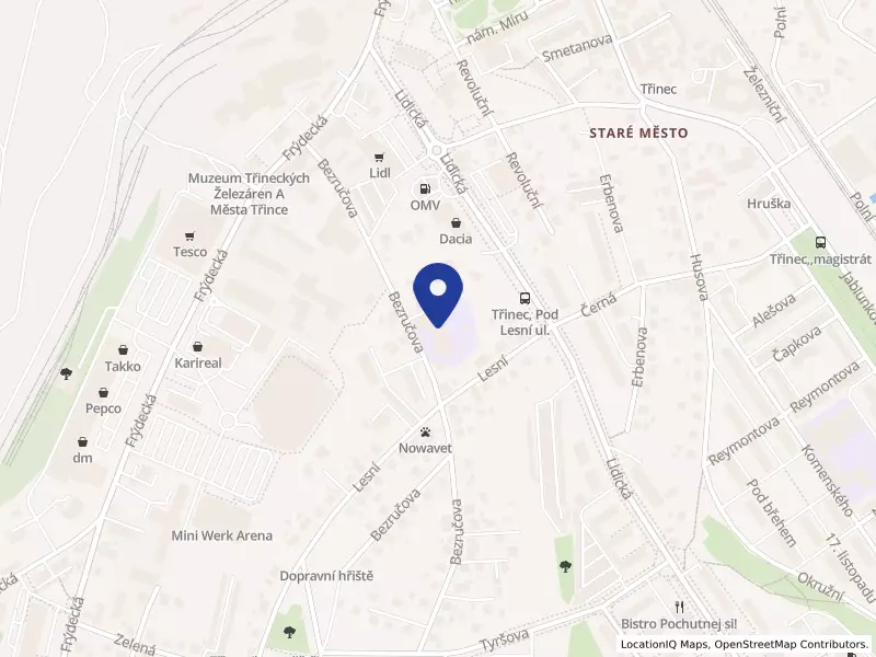 Základní škola Petra Bezruče a mateřská škola, Třinec, příspěvková organizace, Bezručova 418, 73961 Třinec - Staré Město, IČO 00847097