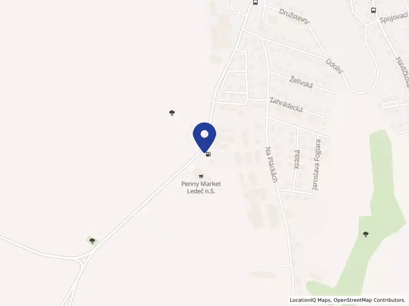 WAN SERVIS spol. s r. o., Koželská 1273, 58401 Ledeč nad Sázavou - Ledeč nad Sázavou, IČO 15059456