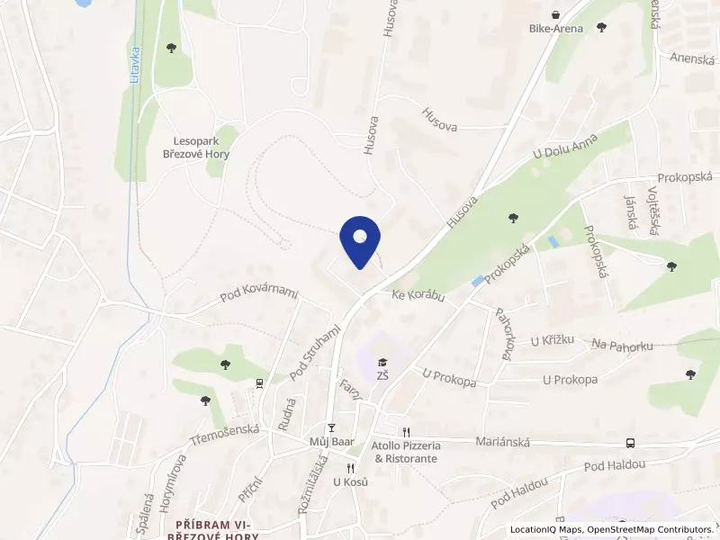 FRISCO s.r.o., Husova 267, 26101 Příbram - Příbram VI-Březové Hory, IČO 45147043