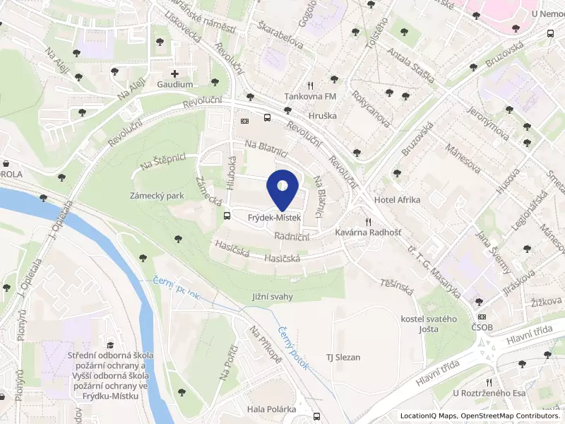 MSP - GLOBAL s.r.o., Zámecké nám. 26, 73801 Frýdek-Místek - Frýdek, IČO 65140605