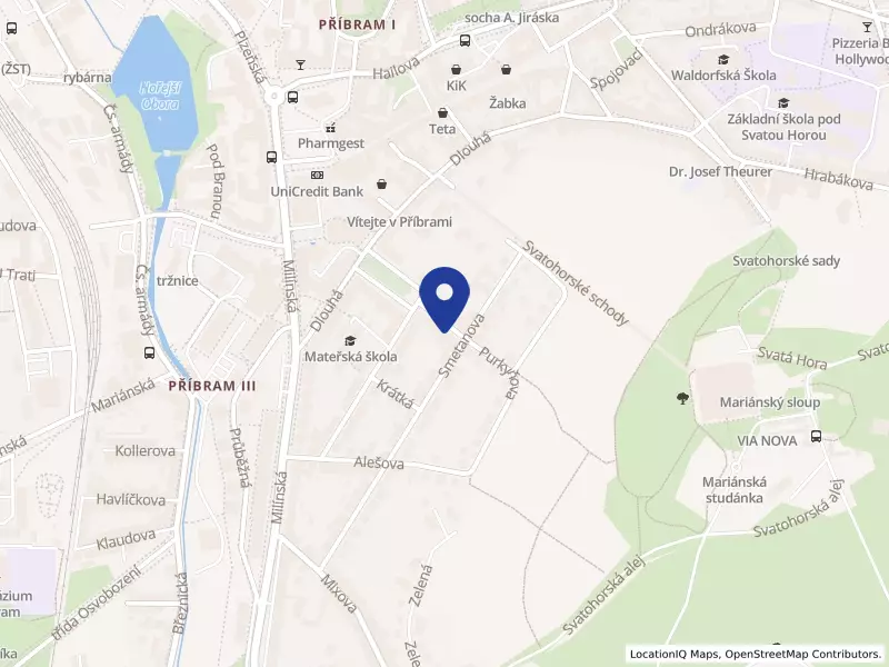 Centrum integrovaných služeb, spol. s r.o., Purkyňova 224, 26101 Příbram - Příbram III, IČO 61681296
