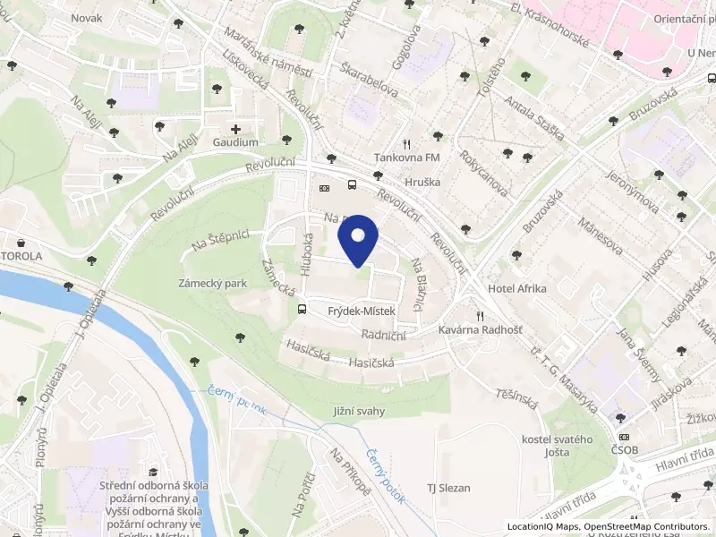Edukonika s.r.o., Na Půstkách 39, 73801 Frýdek-Místek - Frýdek, IČO 04654901