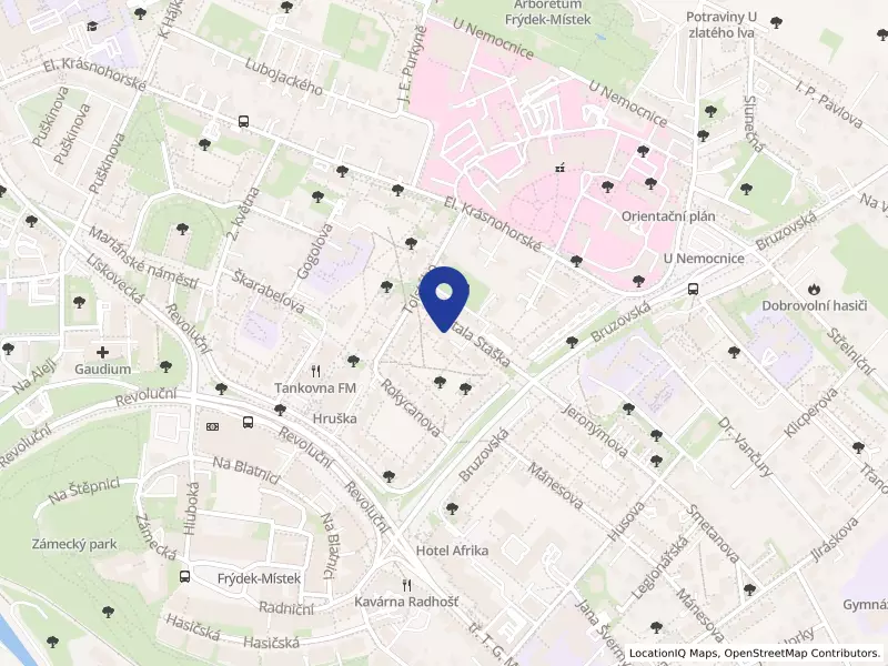 Talentify Team s.r.o., Antala Staška 271, 73801 Frýdek-Místek - Frýdek, IČO 24085421