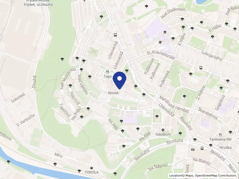 IRMAS 81 s.r.o., Heydukova 81, 73801 Frýdek-Místek - Frýdek, IČO 17627036
