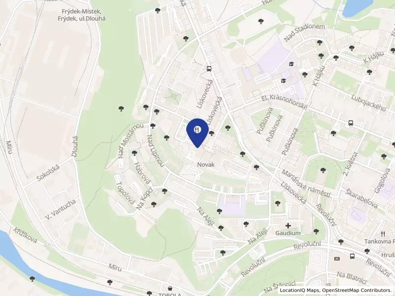 PISCIS InLAB s.r.o., Frýdek-Místek, Heydukova 85, 73801 Frýdek-Místek - Frýdek, IČO 05766354