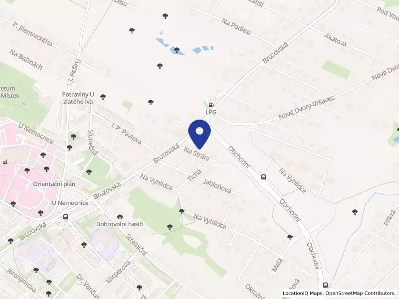 KIARA, s.r.o., Na Stráni 162, 73801 Frýdek-Místek - Frýdek, IČO 25850768