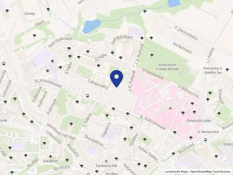 Geodetpro, s. r. o., Lubojackého 2365, 73801 Frýdek-Místek - Frýdek, IČO 03726932