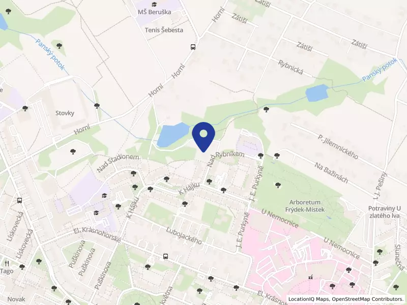 Sallynka s.r.o., Nad Rybníkem 1441, 73801 Frýdek-Místek - Frýdek, IČO 04050118