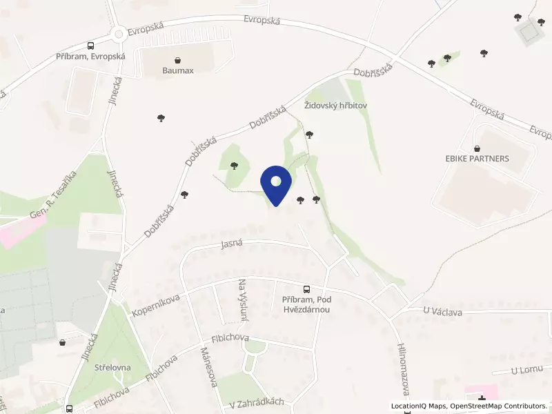 ELLU agency  s.r.o., Jasná 714, 26101 Příbram - Příbram II, IČO 05585431