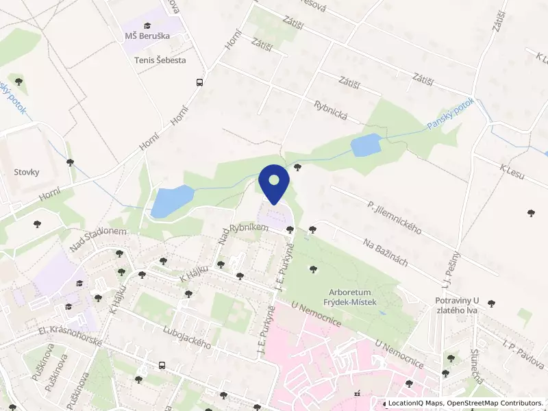 PLANETKA - Montessori mateřská škola, Nad Rybníkem 3019, 73801 Frýdek-Místek - Frýdek, IČO 71341102