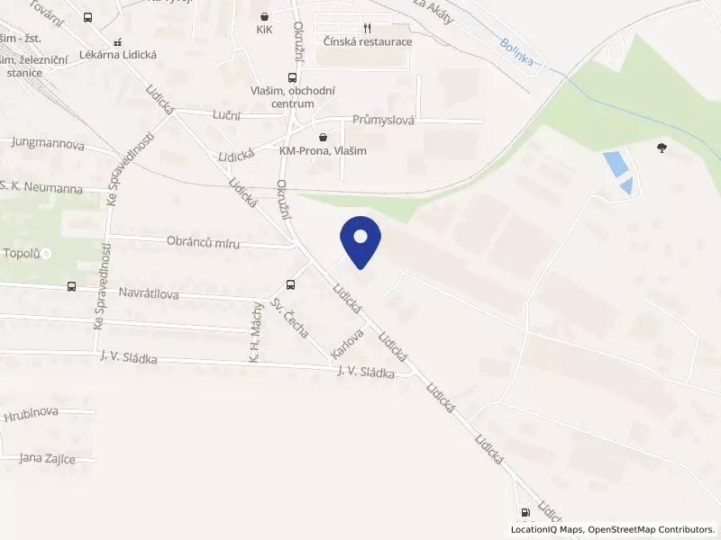 Sellier & Bellot a.s., Lidická 667, 25801 Vlašim - Vlašim, IČO 28982347