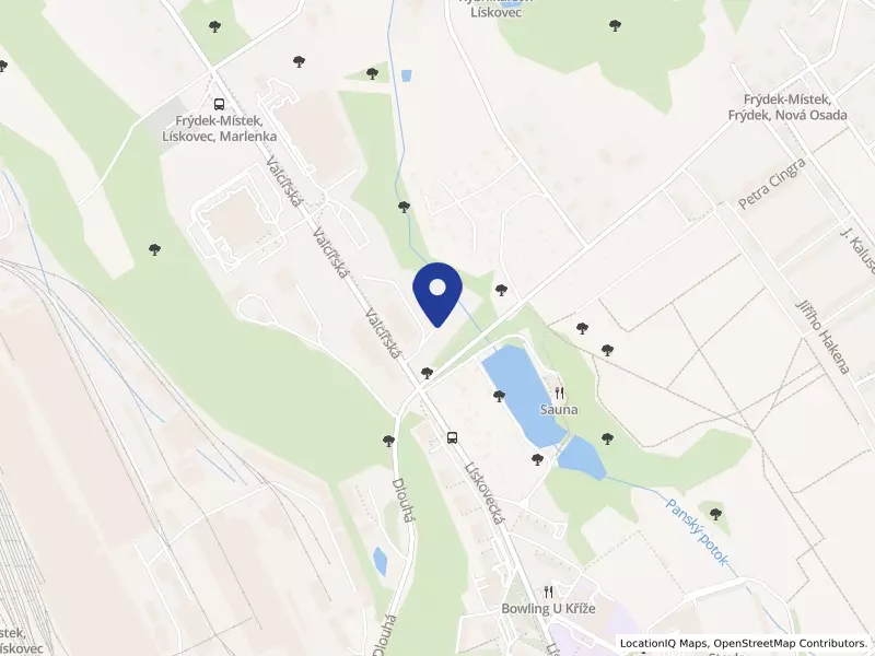 Truhlářství ZASA s.r.o., Marlenka 457, 73801 Frýdek-Místek - Lískovec, IČO 05622069