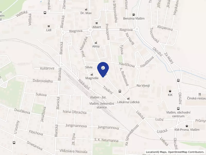 RTG Vlašim s.r.o., Lidická 1715, 25801 Vlašim - Vlašim, IČO 03886841