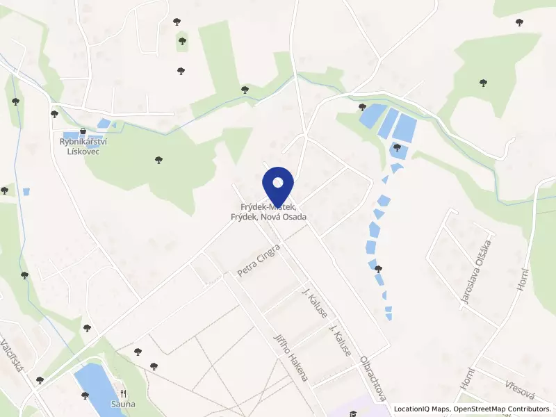 V PRON, s.r.o., 9297, 73801 Frýdek-Místek - Lískovec, IČO 64612180