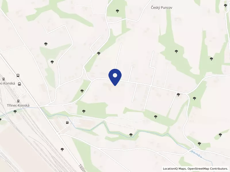 NAŠE dílna, spolek, 158, 73961 Třinec - Konská, IČO 22818626