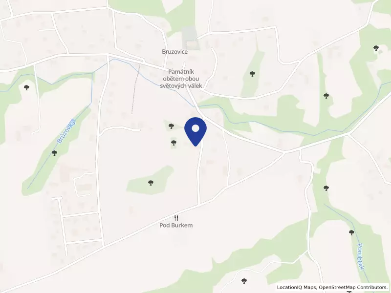CZECH KIMCHI s.r.o., 60, 73936 Bruzovice - Bruzovice, IČO 06456642