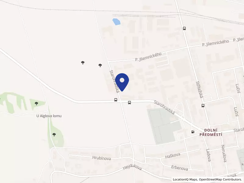 Martinů spol. s r.o., Starohradská 407, 57201 Polička - Dolní Předměstí, IČO 25997025