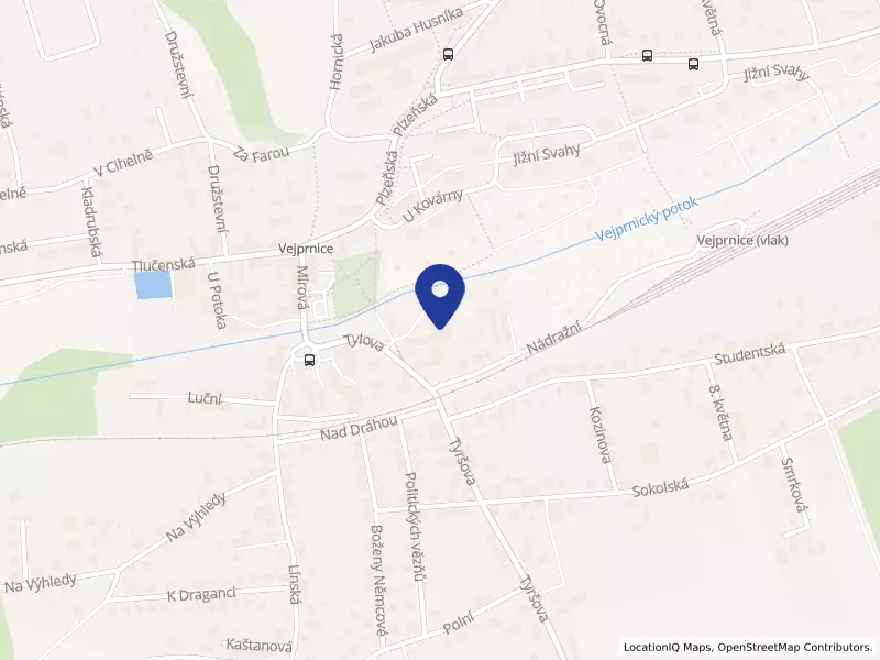 Baculus, o.p.s., Tylova 999, 33027 Vejprnice - Vejprnice, IČO 26997355