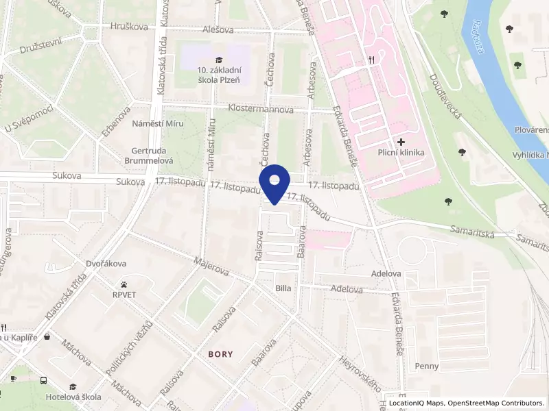 STATEK RAKOVÁ, z. ú., 17. listopadu 2560/6, 30100 Plzeň - Jižní Předměstí, IČO 22713051