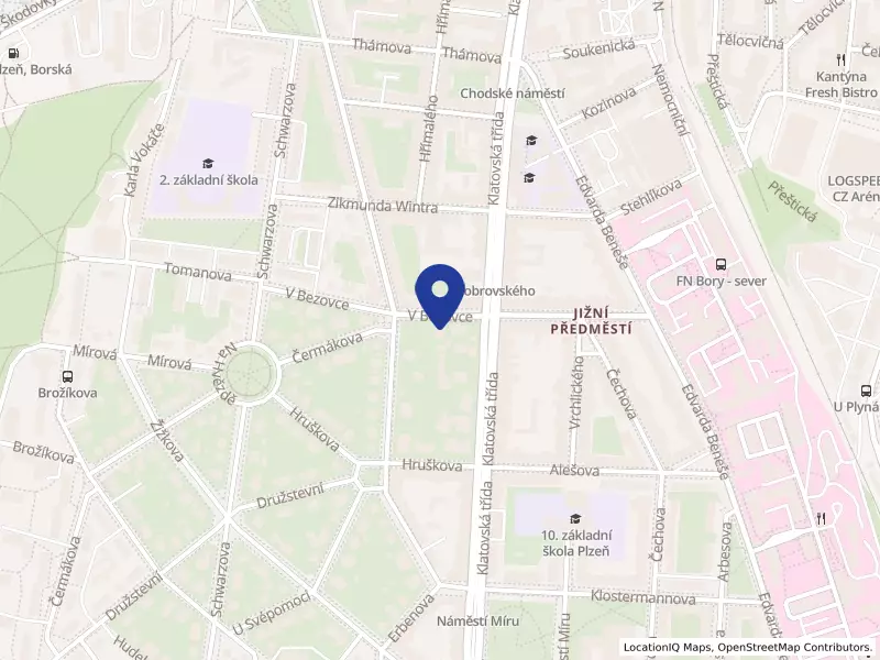 RECLINO - centrum komplexní péče s.r.o., V Bezovce 1028/3, 30100 Plzeň - Jižní Předměstí, IČO 05290601