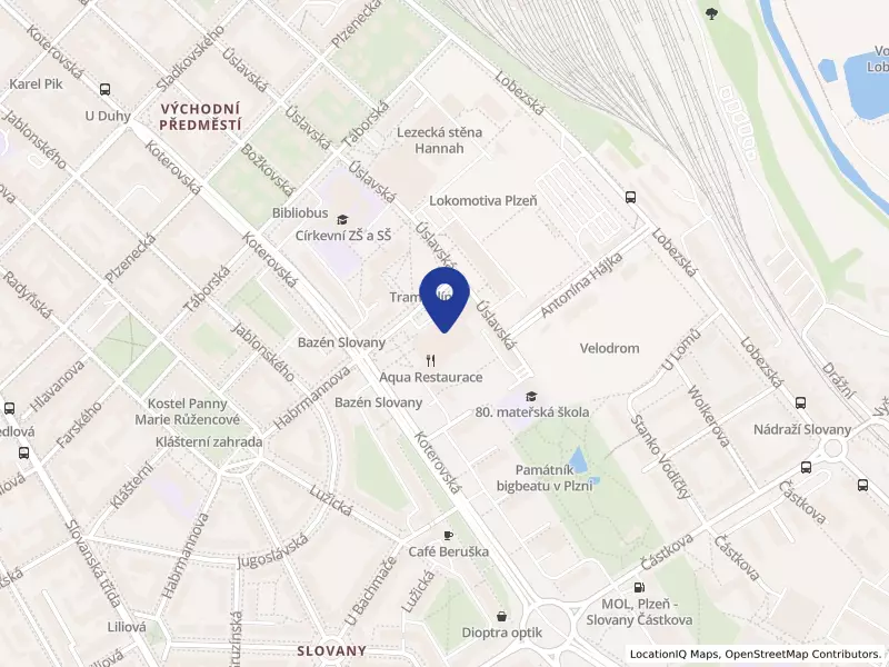 Plavecký klub Slávia VŠ Plzeň z.s., náměstí Generála Píky 2433/42, 32600 Plzeň - Východní Předměstí, IČO 49779133