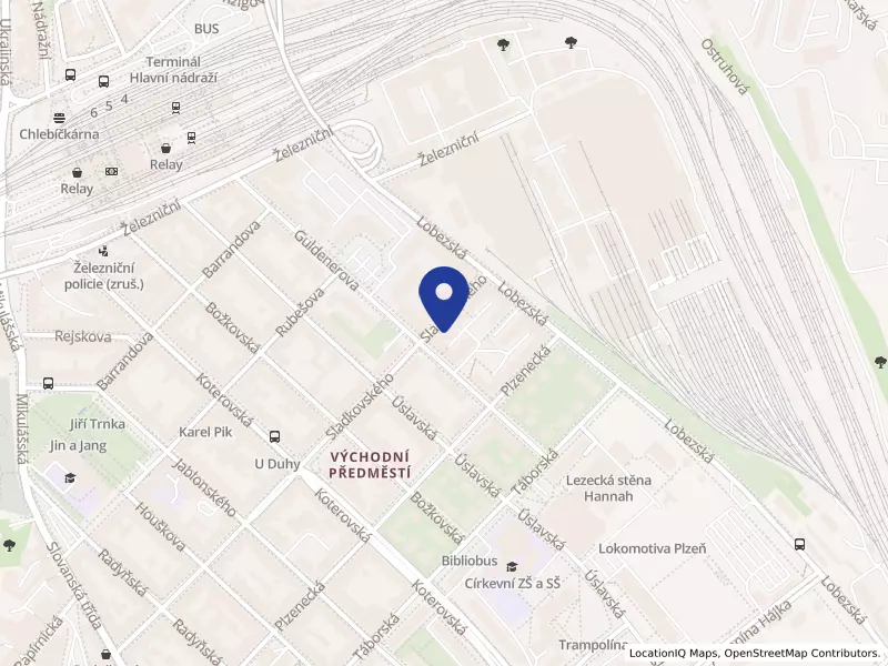 Hospic svatého Lazara z.s., Sladkovského 2472/66a, 32600 Plzeň - Východní Předměstí, IČO 66361508