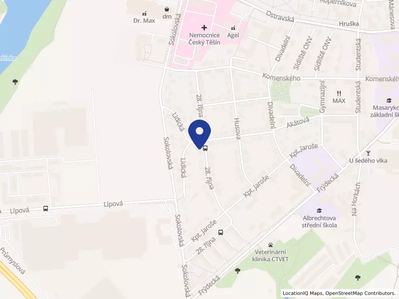PROFIMARKET - MTM, s.r.o., 28. října 1610, 73701 Český Těšín - Český Těšín, IČO 26829550
