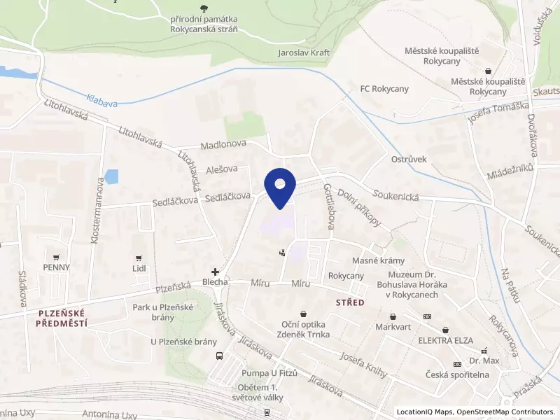Základní škola T.G.Masaryka Rokycany, příspěvková organizace, Třebízského 32, 33701 Rokycany - Střed, IČO 70981451